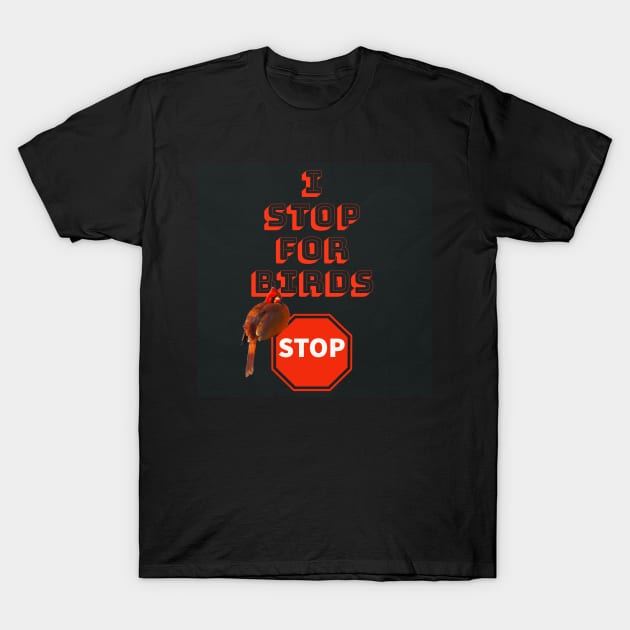 I Stop For Birds T-Shirt by KathyG'sArt